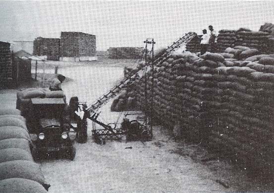 Receiving Barley, Pine Point